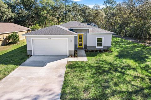 A home in CITRUS SPRINGS