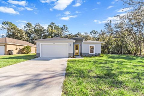 A home in CITRUS SPRINGS