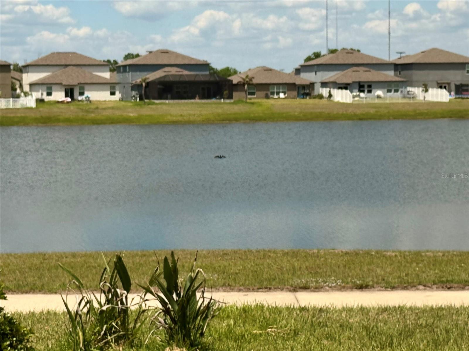 TRIPLE CRK VLG M-1 - Residential