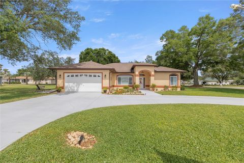 Photo of 10317 SW 63rd Avenue, Ocala, FL 34476 (MLS # OM724241)
