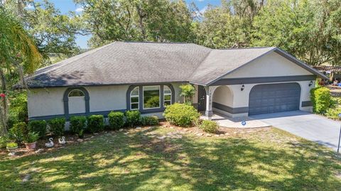Photo of 16789 SE 69th Lane, Ocklawaha, FL 32179 (MLS # OM707072)