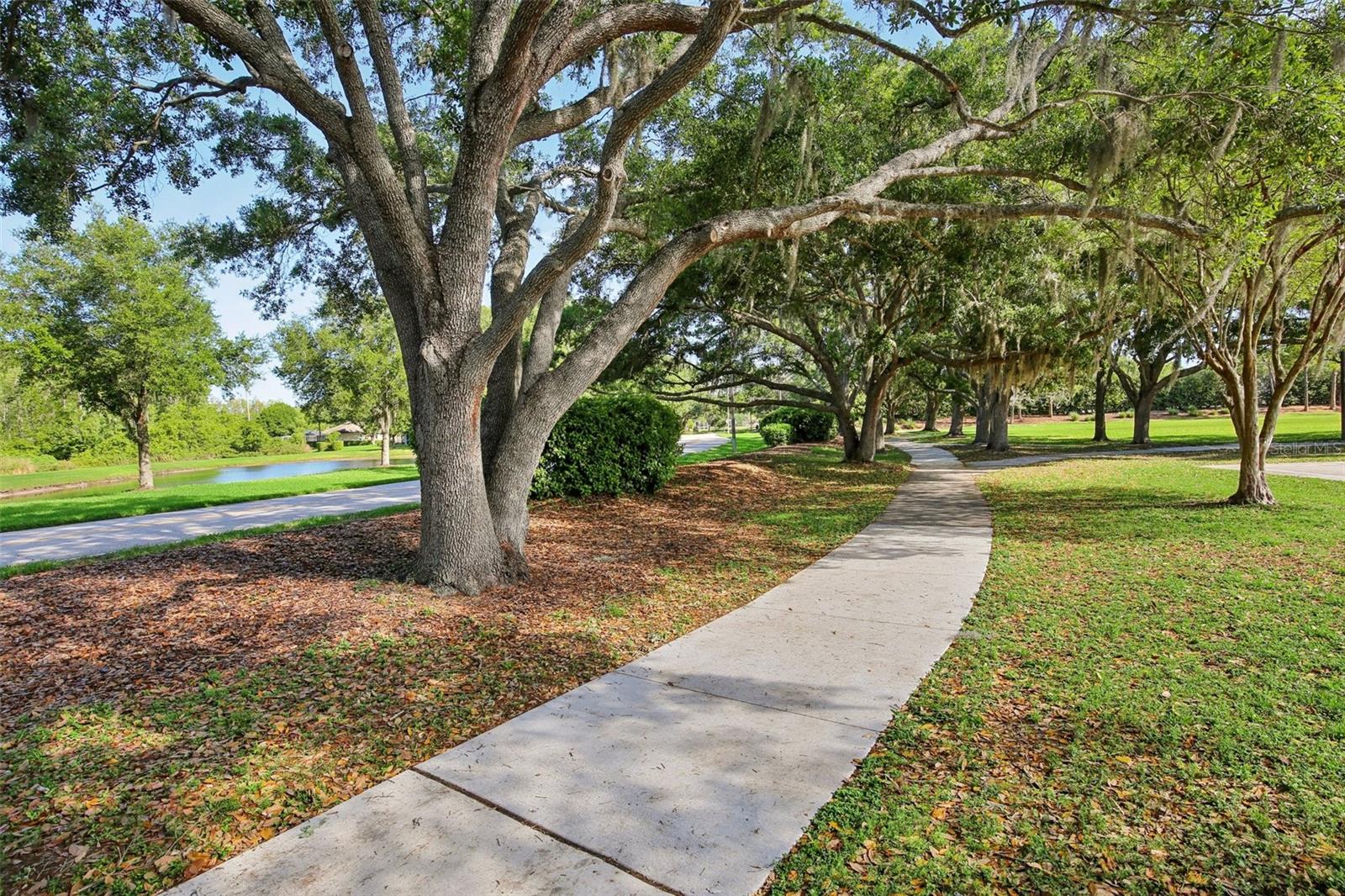 VILLAROSA PH 1B2 - Residential