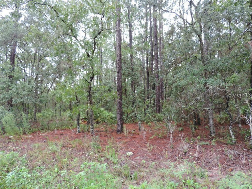 GREAT PROPERTY FOR YOUR DREAM HOME. 1.16 ACRES ZONED R1 AFFORDS PRIVATE COUNTRY LIVING LOCATED BETWEEN OCALA AND DUNNELLON AND A SHORT DRIVE TO THE VILLAGES. CLOSE TO GREAT FISHING IN THE MANY LAKES IN THE AREA AND A SHORT DRIVE TO THE GULF…OR SKIP INTO DUNNELLON AND TUBE DOWN THE RAINBOW RIVER. NICE HOMES IN THE AREA AND A SHORT DRIVE TO SHOPPING AND DINING ON HWY 200 OR THE WORLD EQUESTRIAN CENTER OFF HWY 40. THIS WILL MAKE THE PERFECT HOMESITE FOR SOMEONE LOOKING TO RELAX AFTER A TAXING DAY BUT STILL HAVE ALL THE COMFORTS NEARBY. SHORT DISTANCE OFF PAVED ROAD.