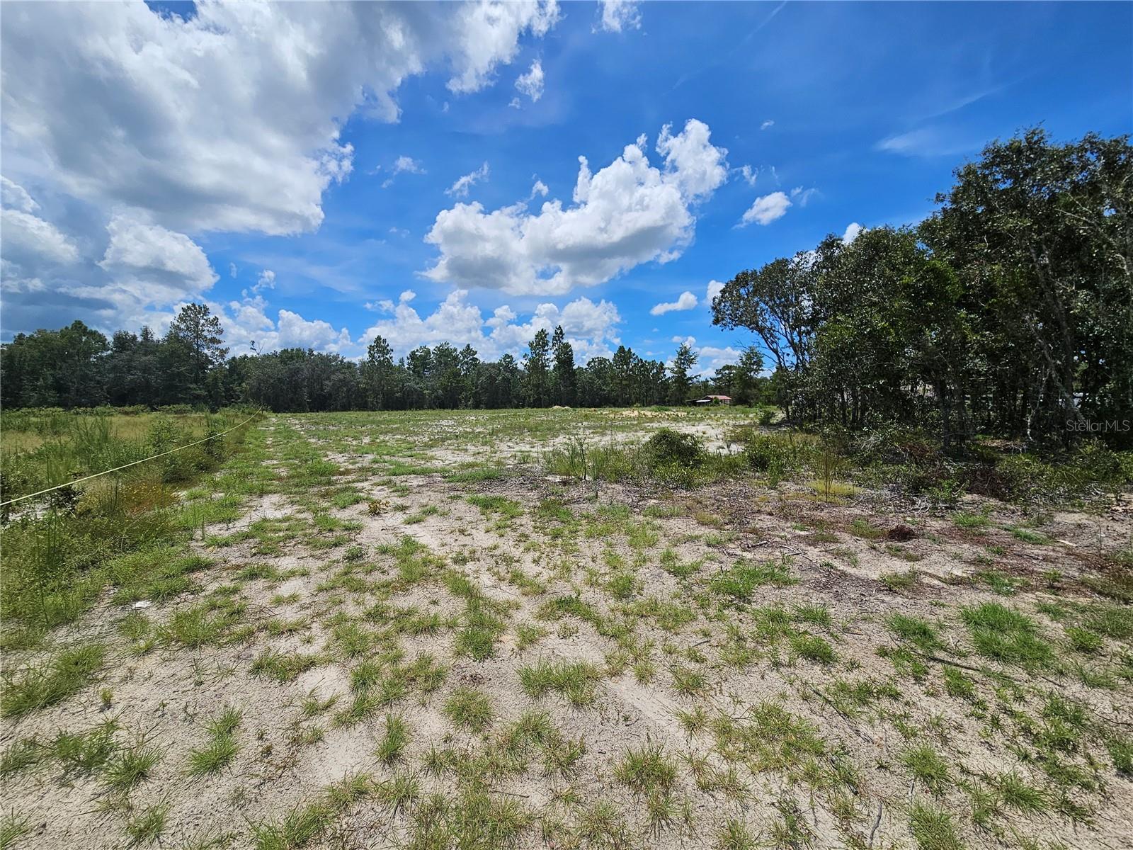 CLEARED 1.25 ACRES READY FOR YOUR NEW HOME. Located just off a paved road and zoned Rural Residential (R/R) allowing for your new site-built or manufactured home. Parcel measures about 163' on the road and 333' deep. Centrally located between Williston and Bronson off Hwy 27Alt. High & Dry with no flood zones, no HOA and no time limits to build.
