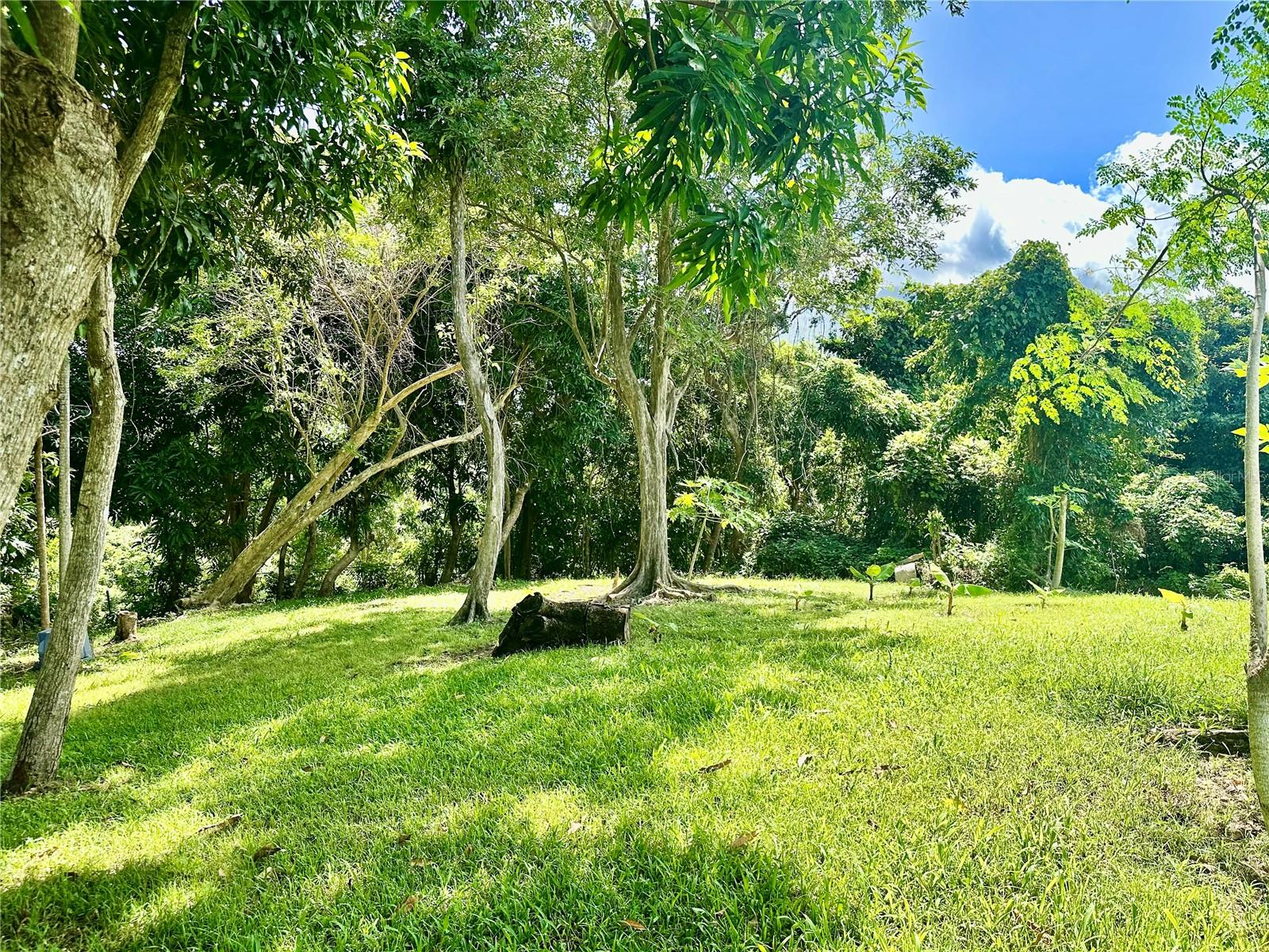 BARRIO CAROLA - Residential