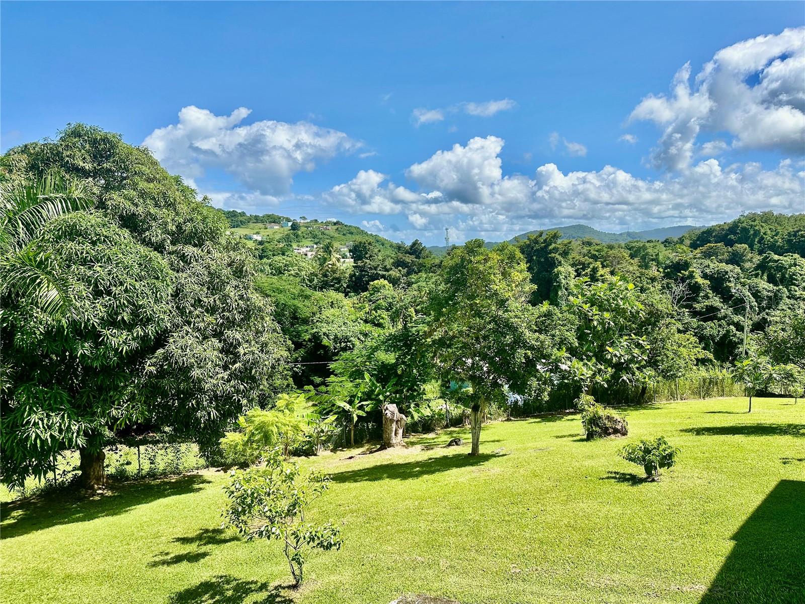 BARRIO CAROLA - Residential
