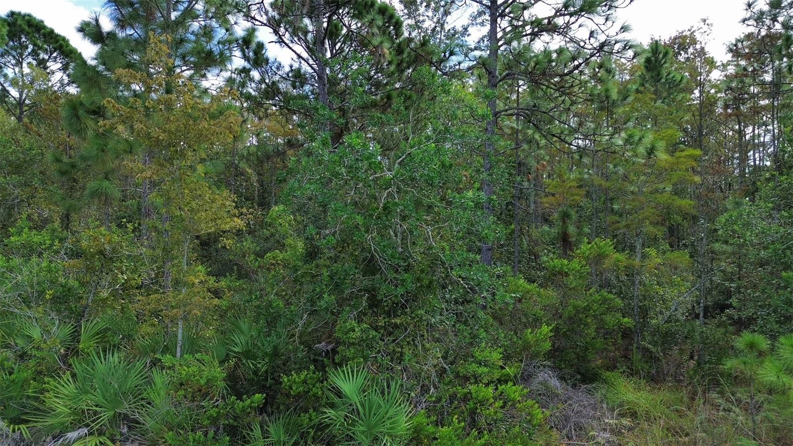 CAPE ORLANDO ESTATES - Land