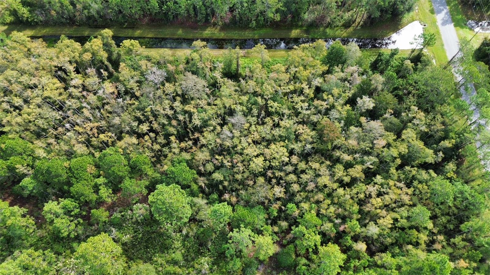 CAPE ORLANDO ESTATES - Land