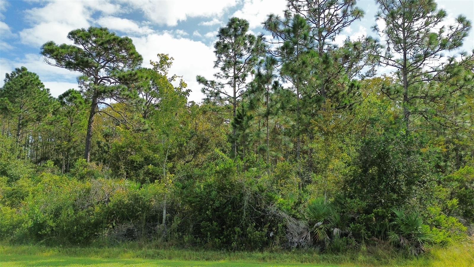 CAPE ORLANDO ESTATES - Land