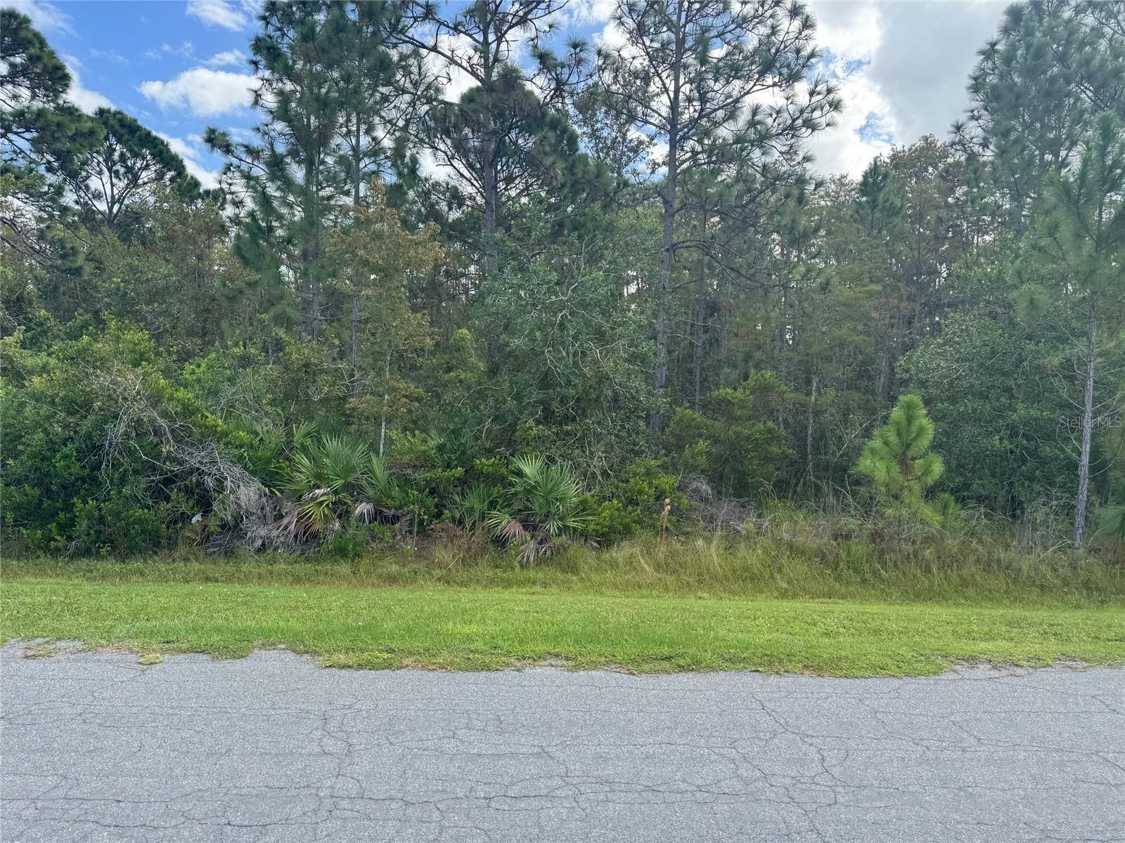 CAPE ORLANDO ESTATES - Land