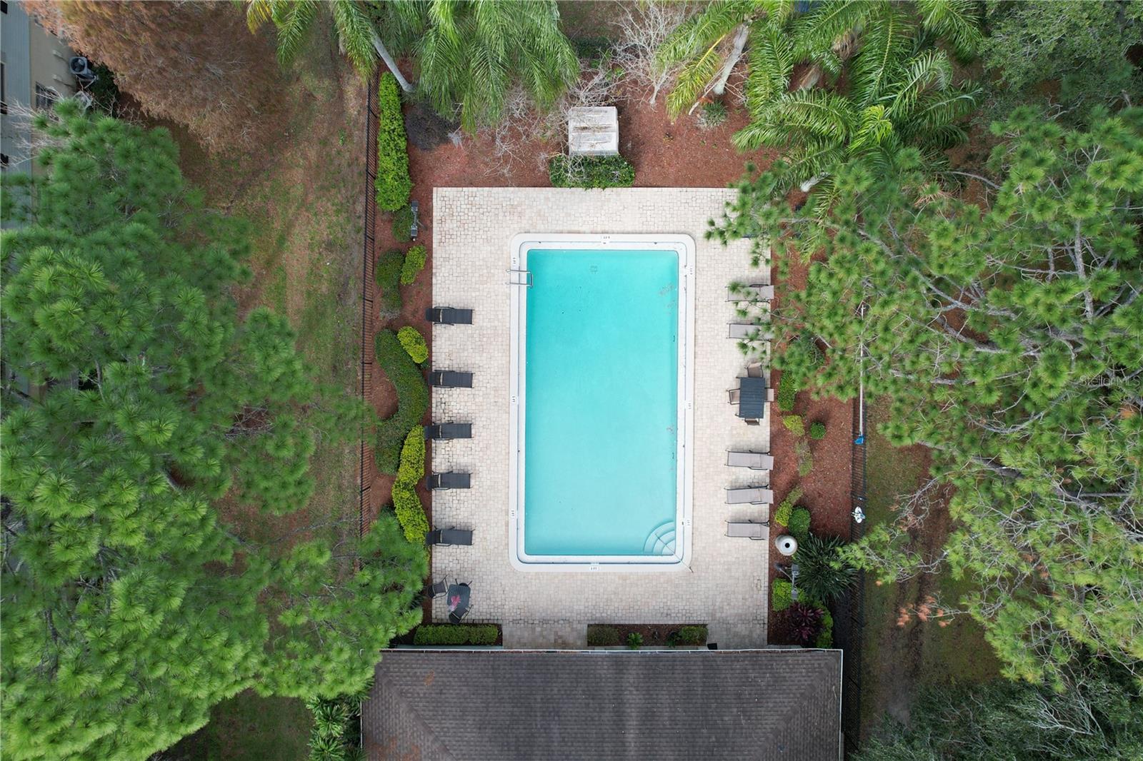 THE HAMPTONS AT BRANDON A CONDO - Residential Lease