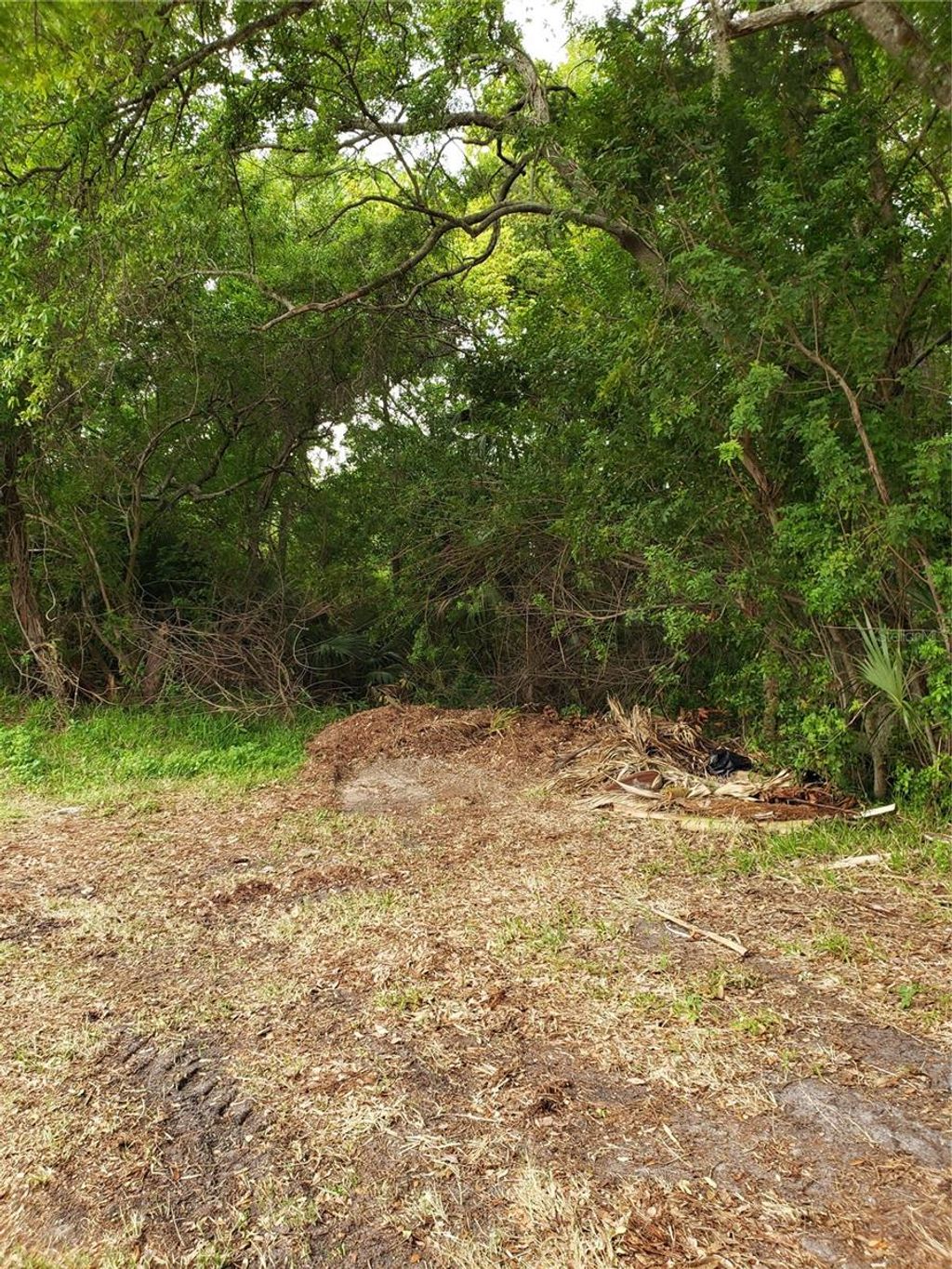 Photo of Grosse Avenue, Tarpon Springs, FL 34689 (MLS # U8236214)