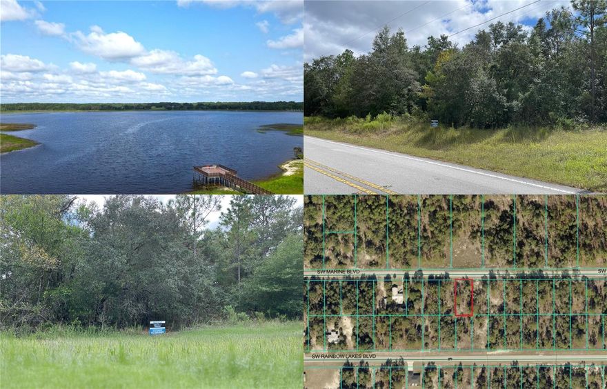 Beautiful 1/4 acre lot in Rainbow Lakes Estates with "NO HOA" & "NOT in a flood zone", surrounded by the natural charm of Dunnellon. The community offers lakes, a park, playground, basketball and tennis courts, 2 boat ramps, a fishing pier, a library, and a community center-perfect for those seeking a blend of rural beauty, recreation, and lifestyle. Enjoy a peaceful, secure setting just minutes from hiking trails, top-rated golf courses, boutique shopping, local dining, and the stunning Rainbow River, with the World Equestrian Center only 20 minutes away. An ideal spot to build your dream home!