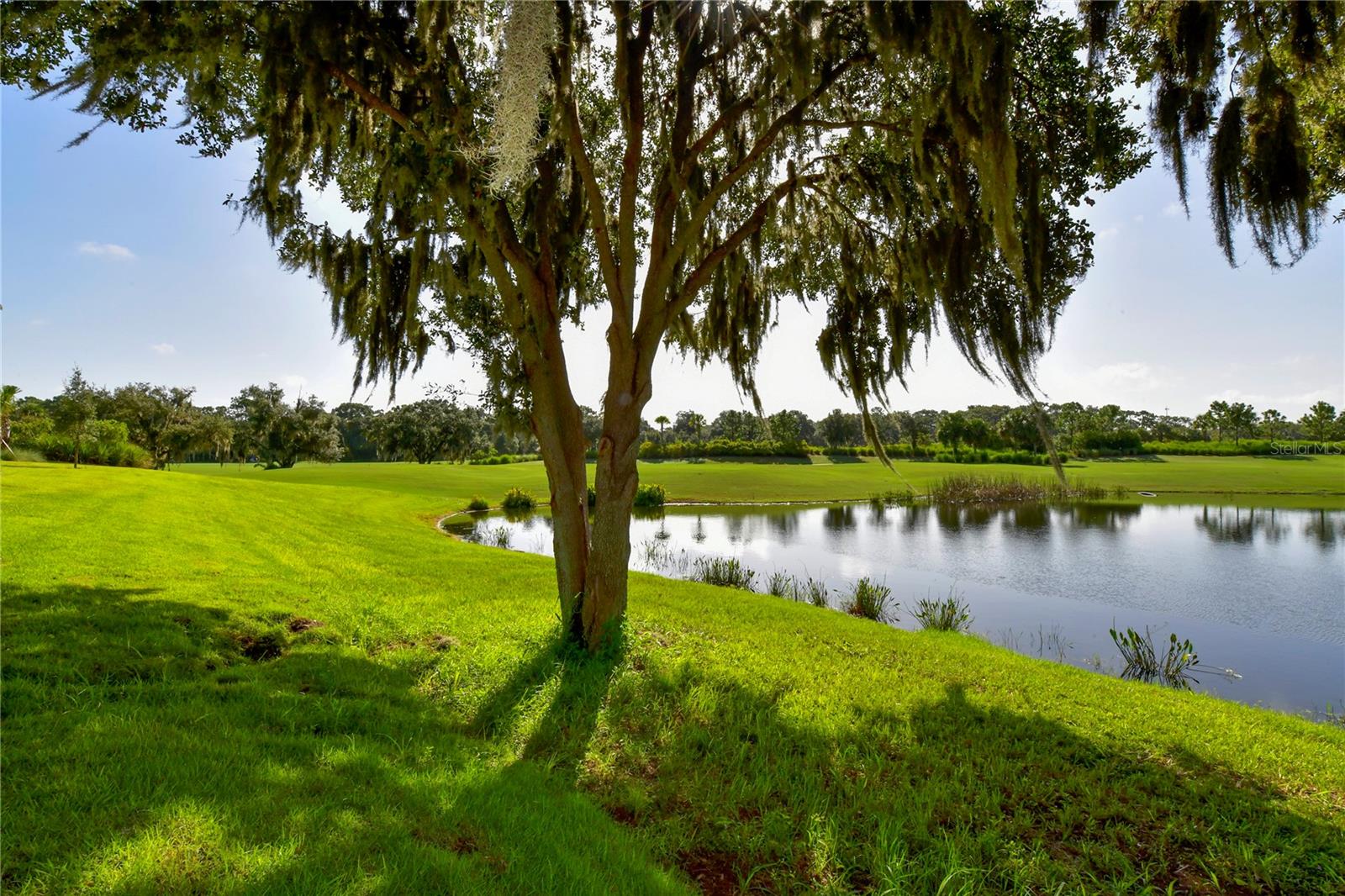BACCIANO III AT ESPLANADE LAKEWOOD RANCH - Residential Lease