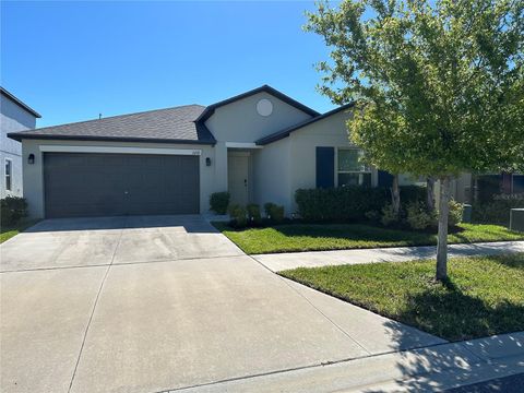 Single Family Residence in RIVERVIEW FL 11210 SAGE CANYON DRIVE.jpg
