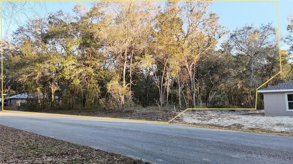 Photo of 3298 E Pierce Street, Inverness, FL 34453 (MLS # O6365923)