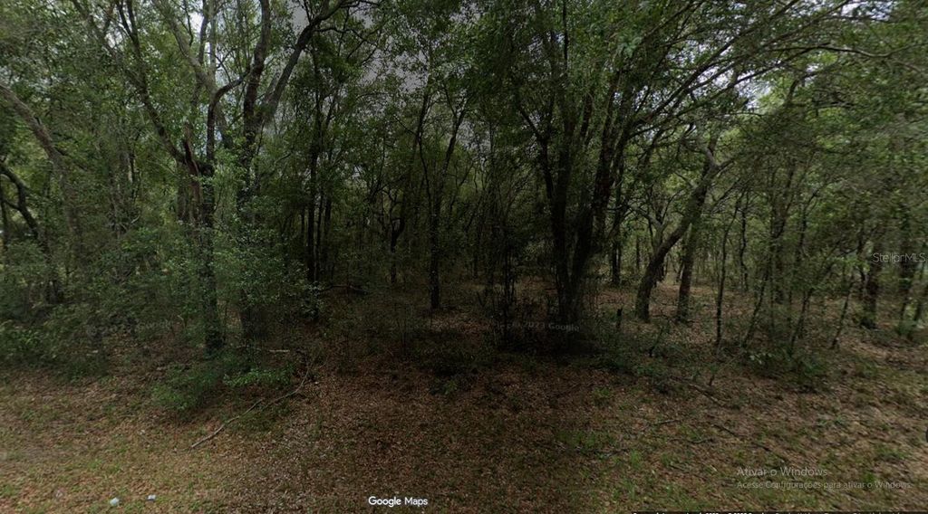 Photo of 3298 E Pierce Street, Inverness, FL 34453 (MLS # O6365923)