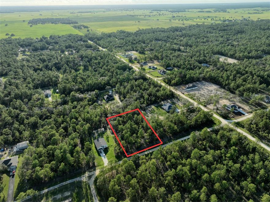 1.16 Acre Lot in Rolling Hills, Ocala! Spacious residential lot in a prime location with electricity available. No HOA, giving you the freedom to build your dream home or hold as an investment. Enjoy the peace of Rolling Hills while still being close to Ocala’s conveniences.