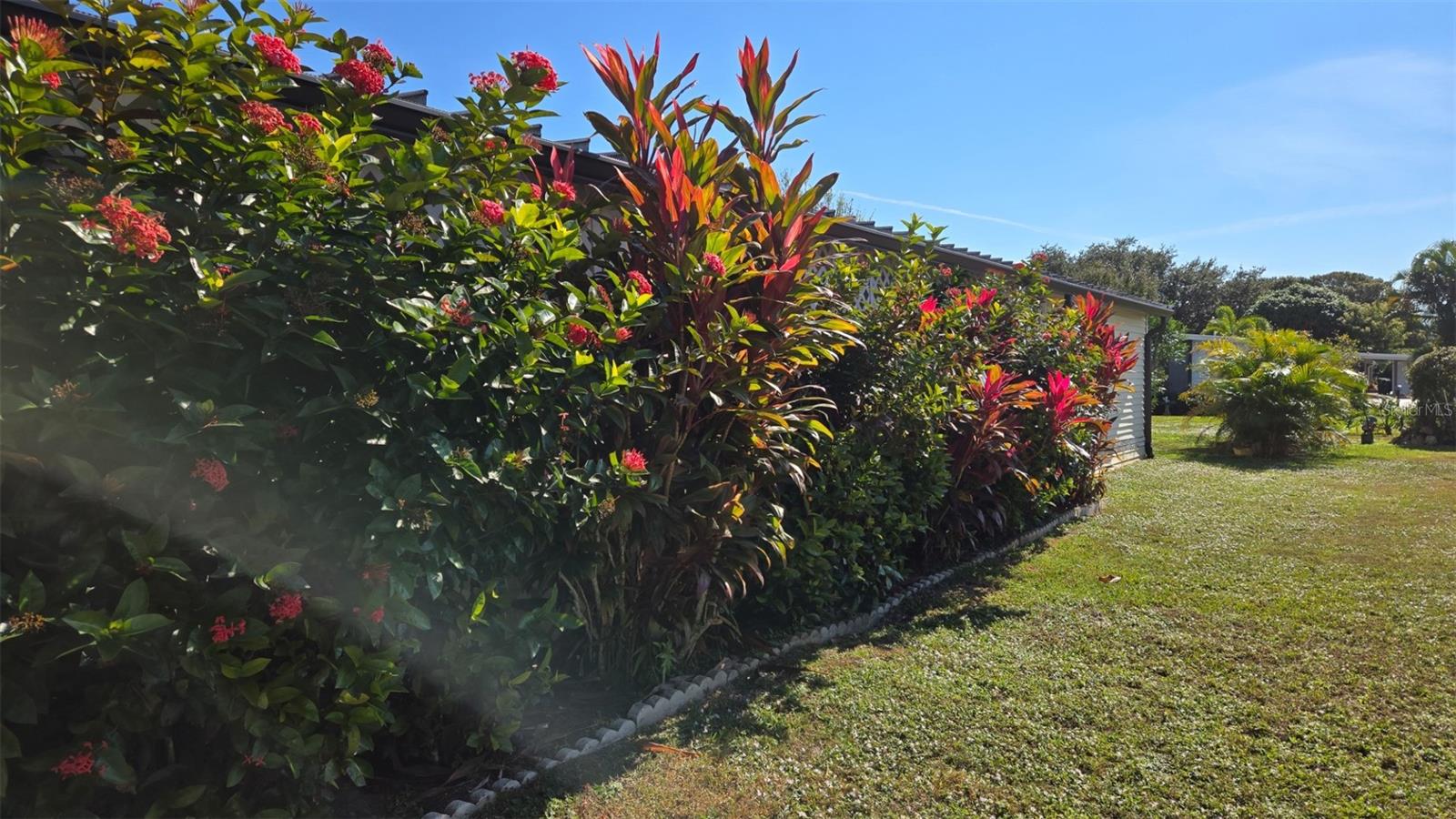 HAVEN GREEN PINEWOOD SEC REP - Residential