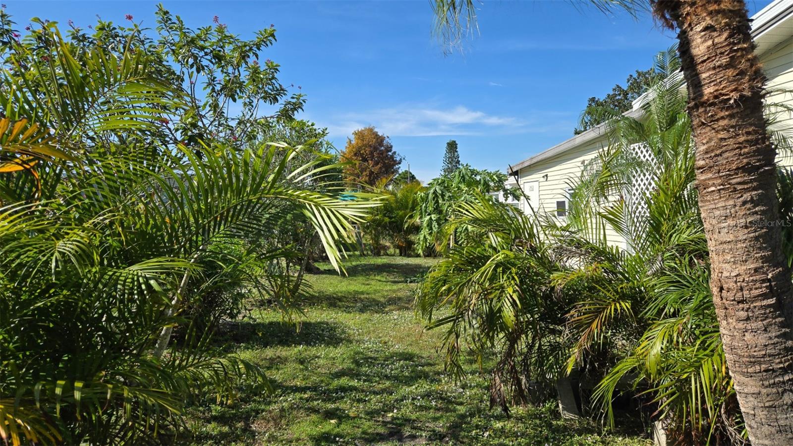 HAVEN GREEN PINEWOOD SEC REP - Residential