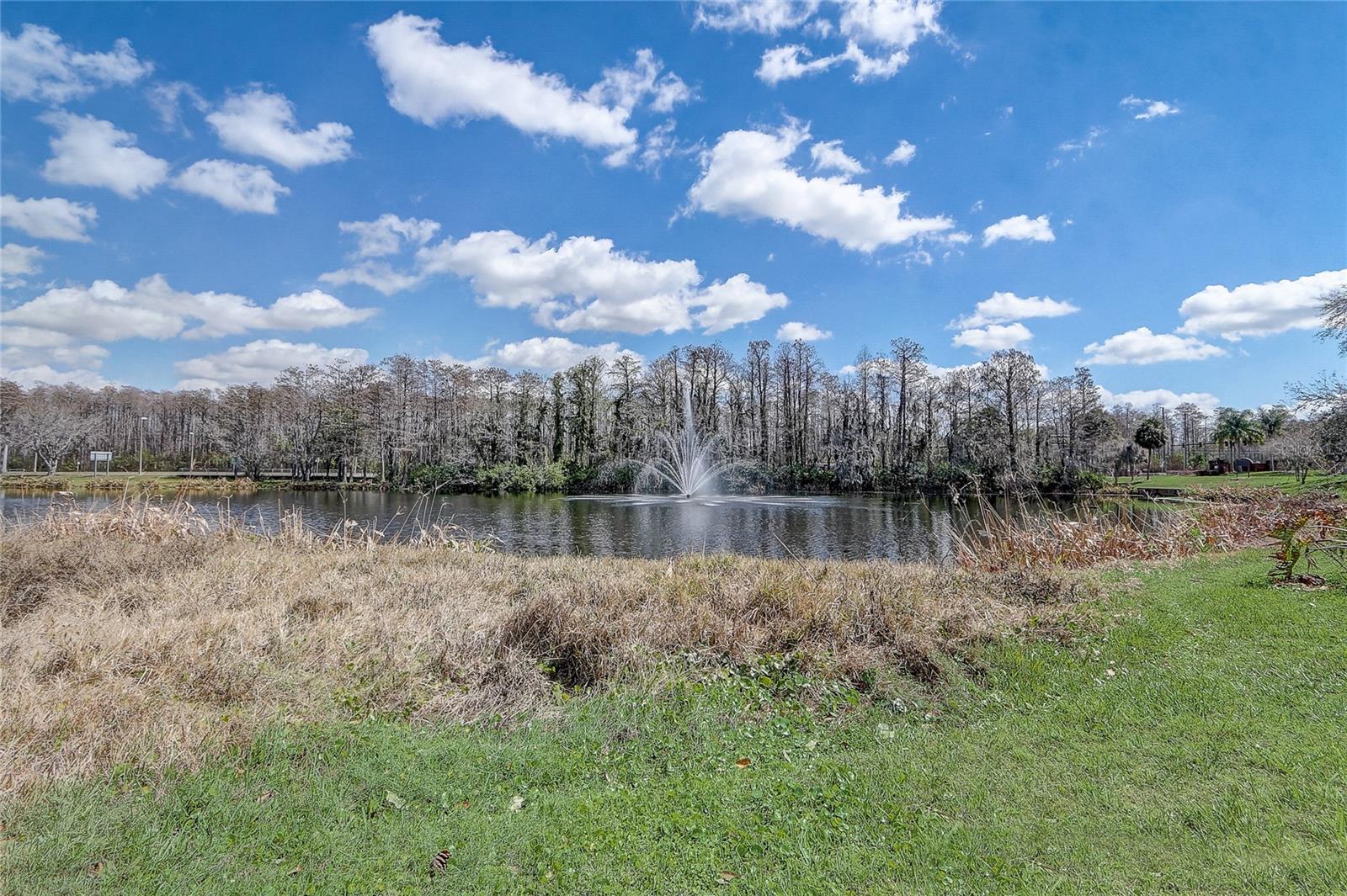 AUDUBON VLS/HUNTERS CRK CONDO - Residential