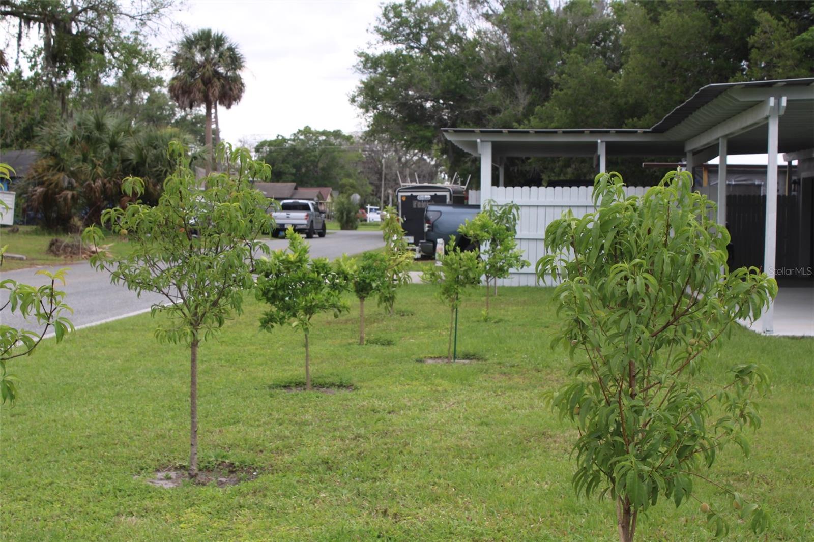 SEMINOLE PARK - Residential