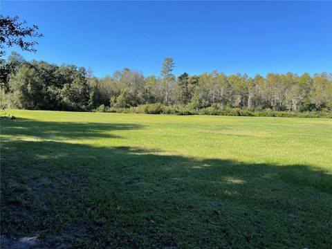 Tiny photo for 3430 Conniff Road, Groveland, FL 34736 (MLS # G5101475)