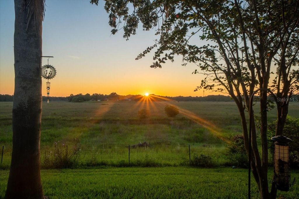 Photo of 1472 Ivydale Road, Spring Hill, FL 34606 (MLS # TB8499644)