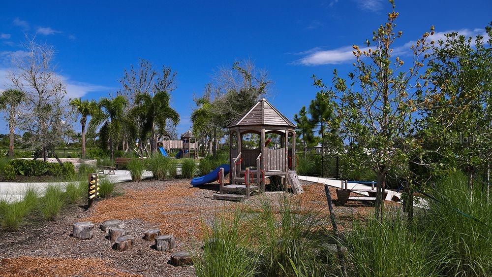 THE TOWNS AT SKYE RANCH - Residential