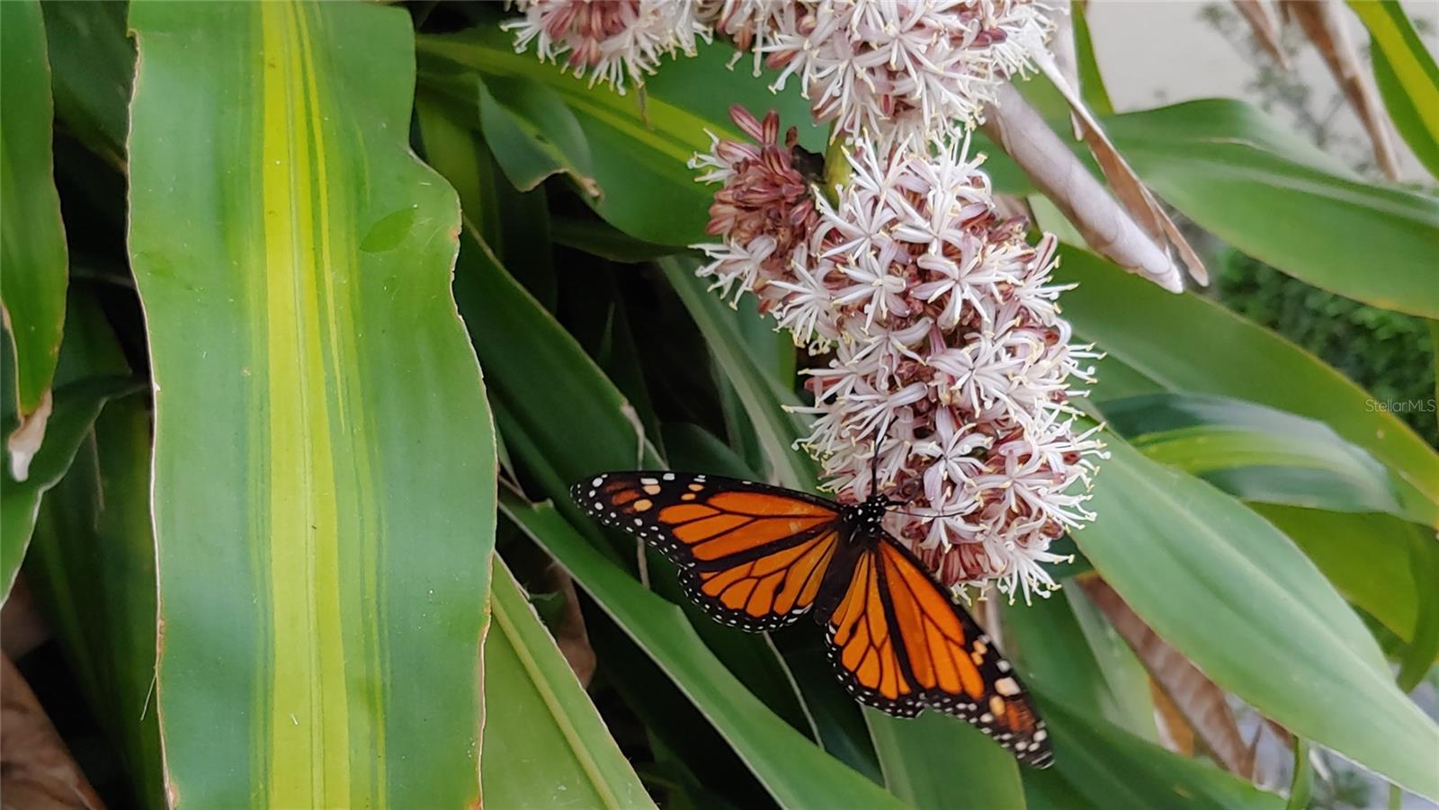 VIZCAYA PH 1, 2, 3, 4, 5, 7, 9, 12, 13, 15&16 - Residential