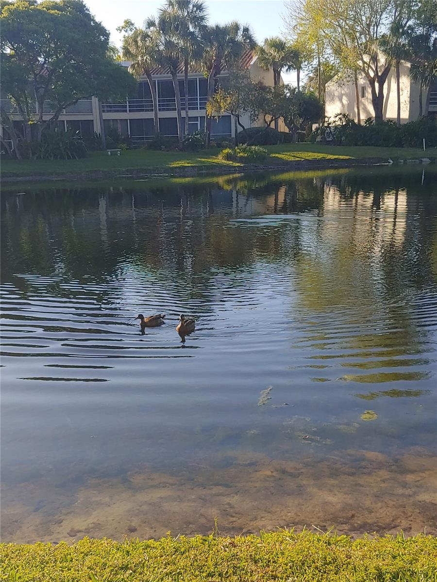 VIZCAYA PH 1, 2, 3, 4, 5, 7, 9, 12, 13, 15&16 - Residential