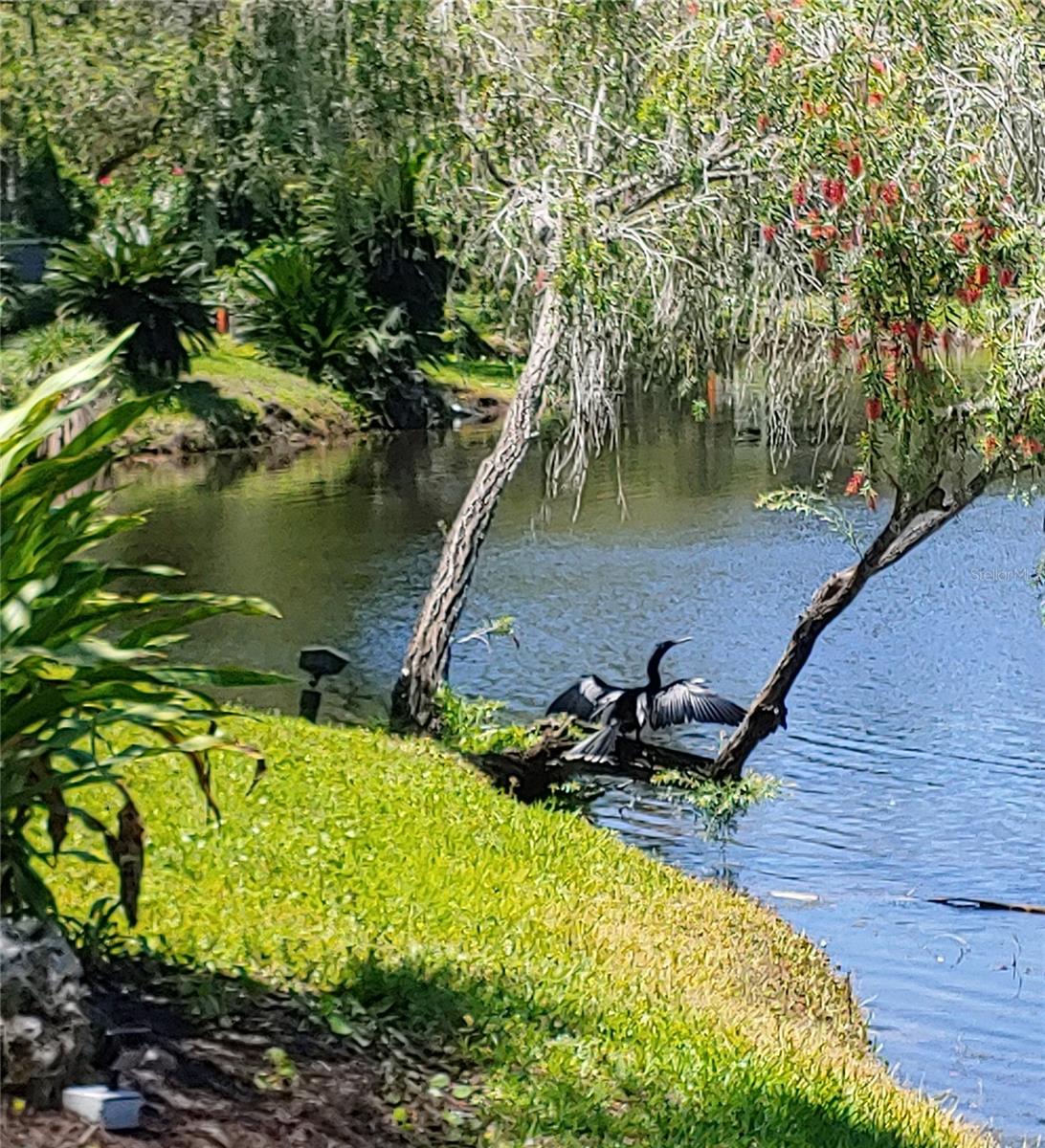 VIZCAYA PH 1, 2, 3, 4, 5, 7, 9, 12, 13, 15&16 - Residential