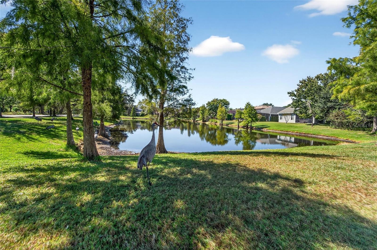 CONNERTON VILLAGE 01 PRCL 103 - Residential