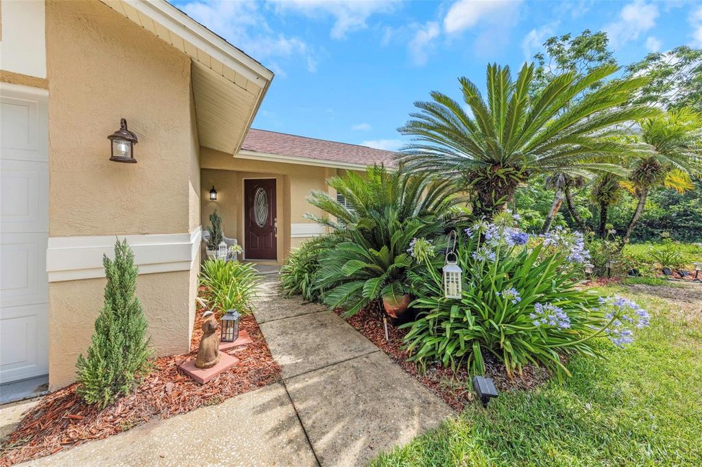 Photo of 2437 Hawk Avenue, Palm Harbor, FL 34683 (MLS # W7886760)