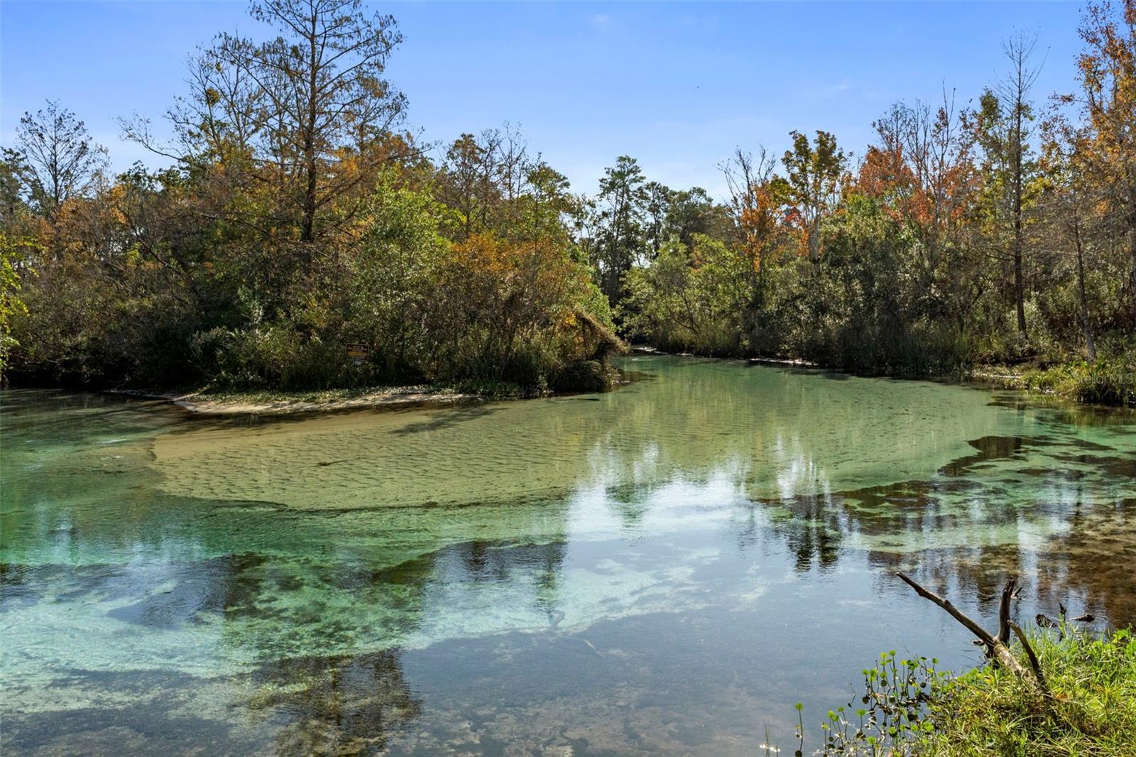WATERS OF WEEKI WACHEE - Residential