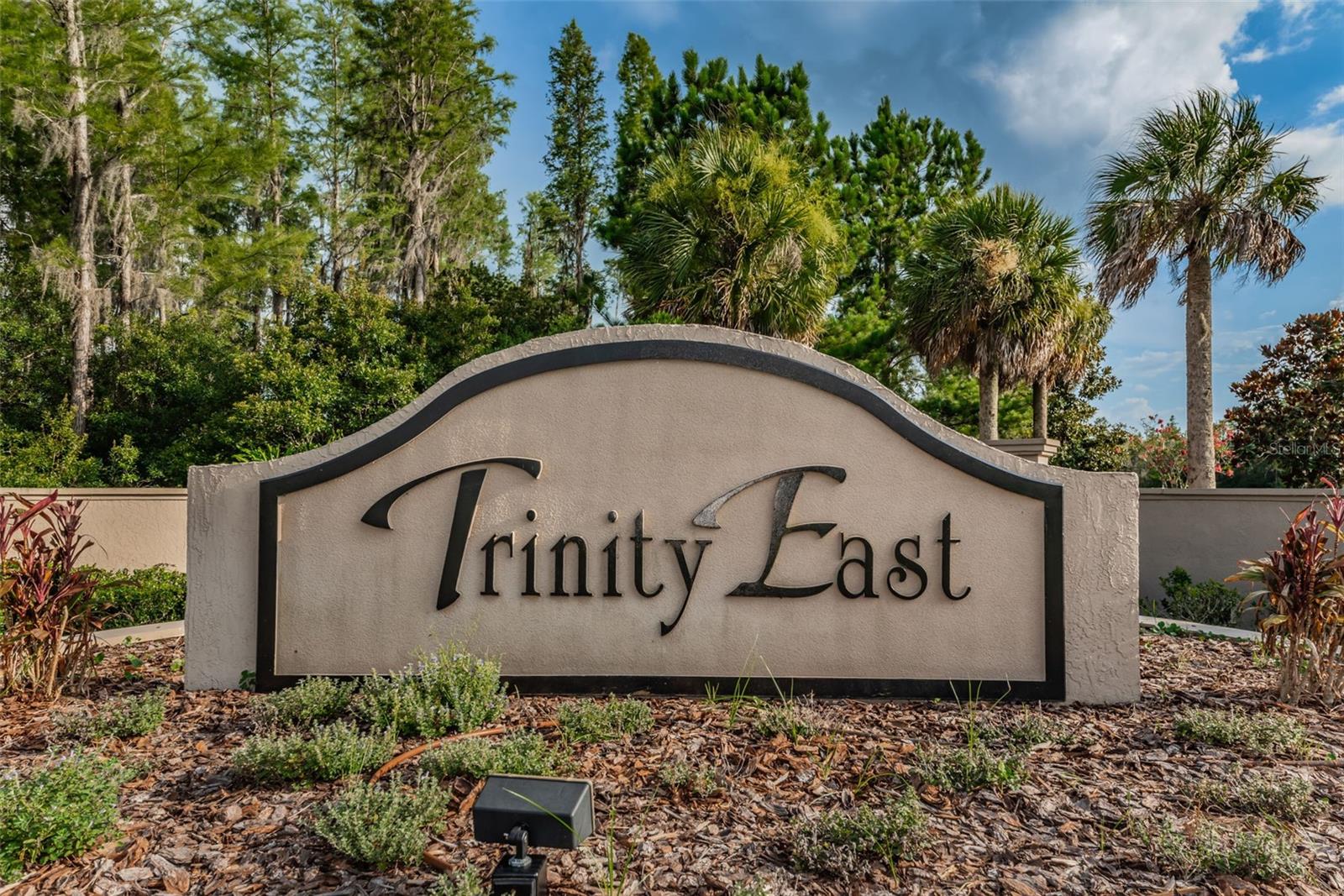 TRINITY EAST REP - Residential