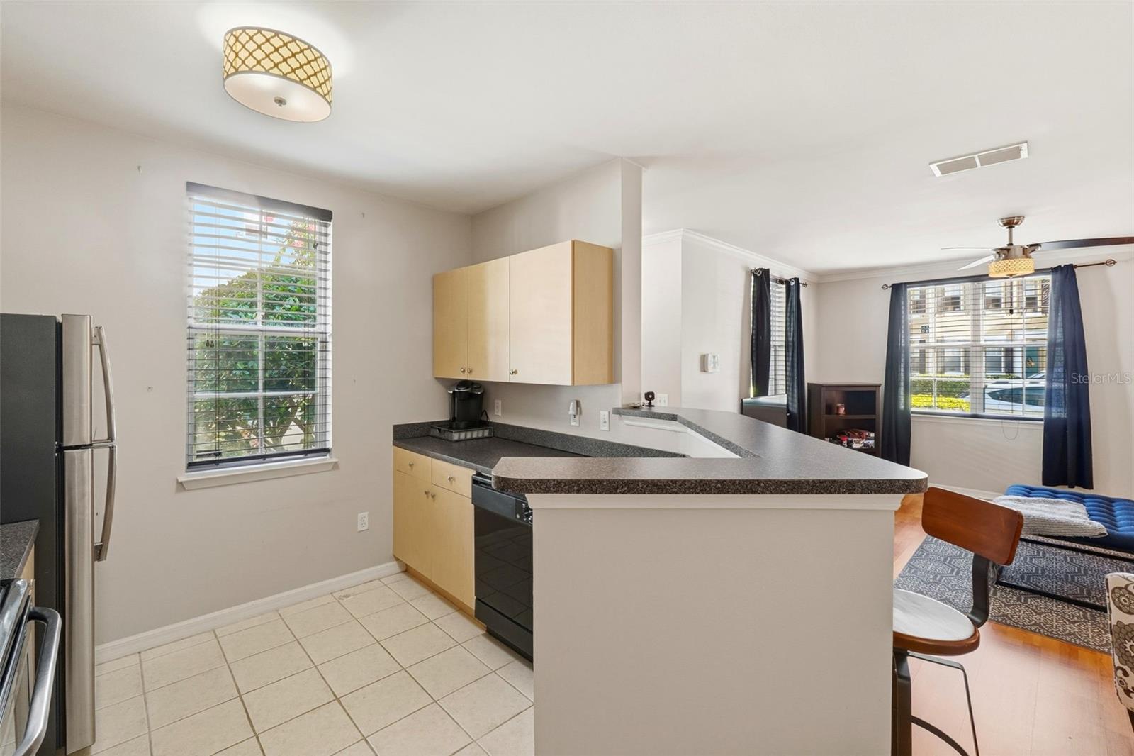 SIENA AT CELEBRATION CONDO A - Residential