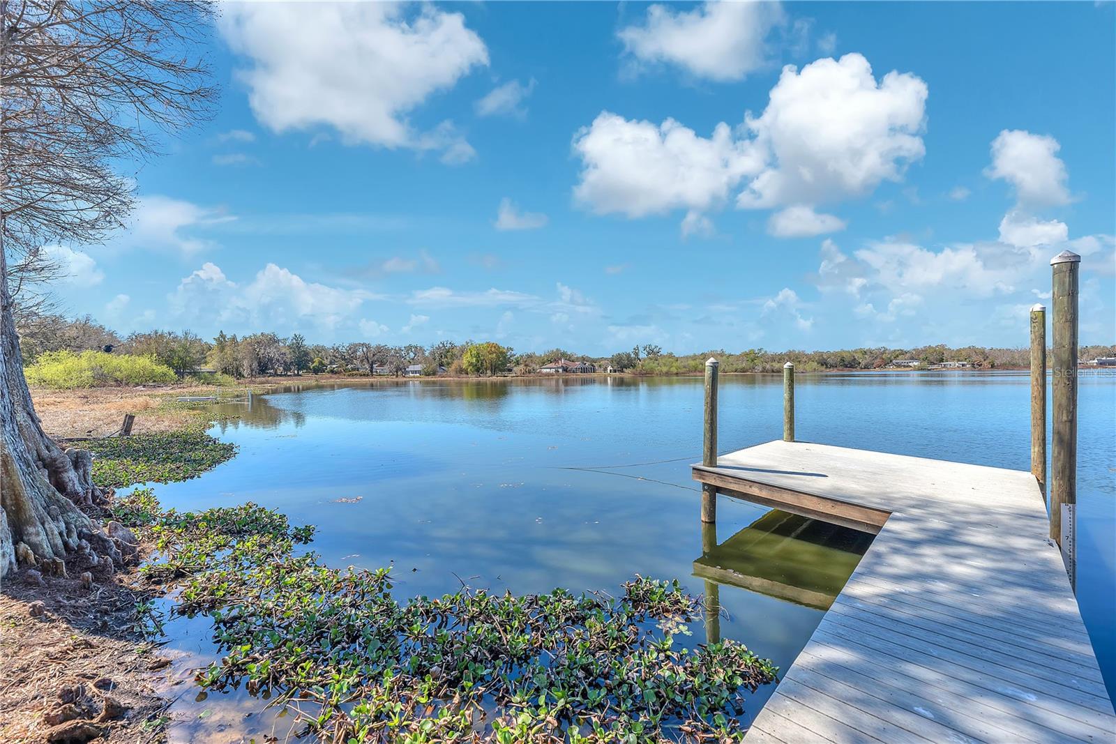 VALRICO LAKE ESTATES - Residential