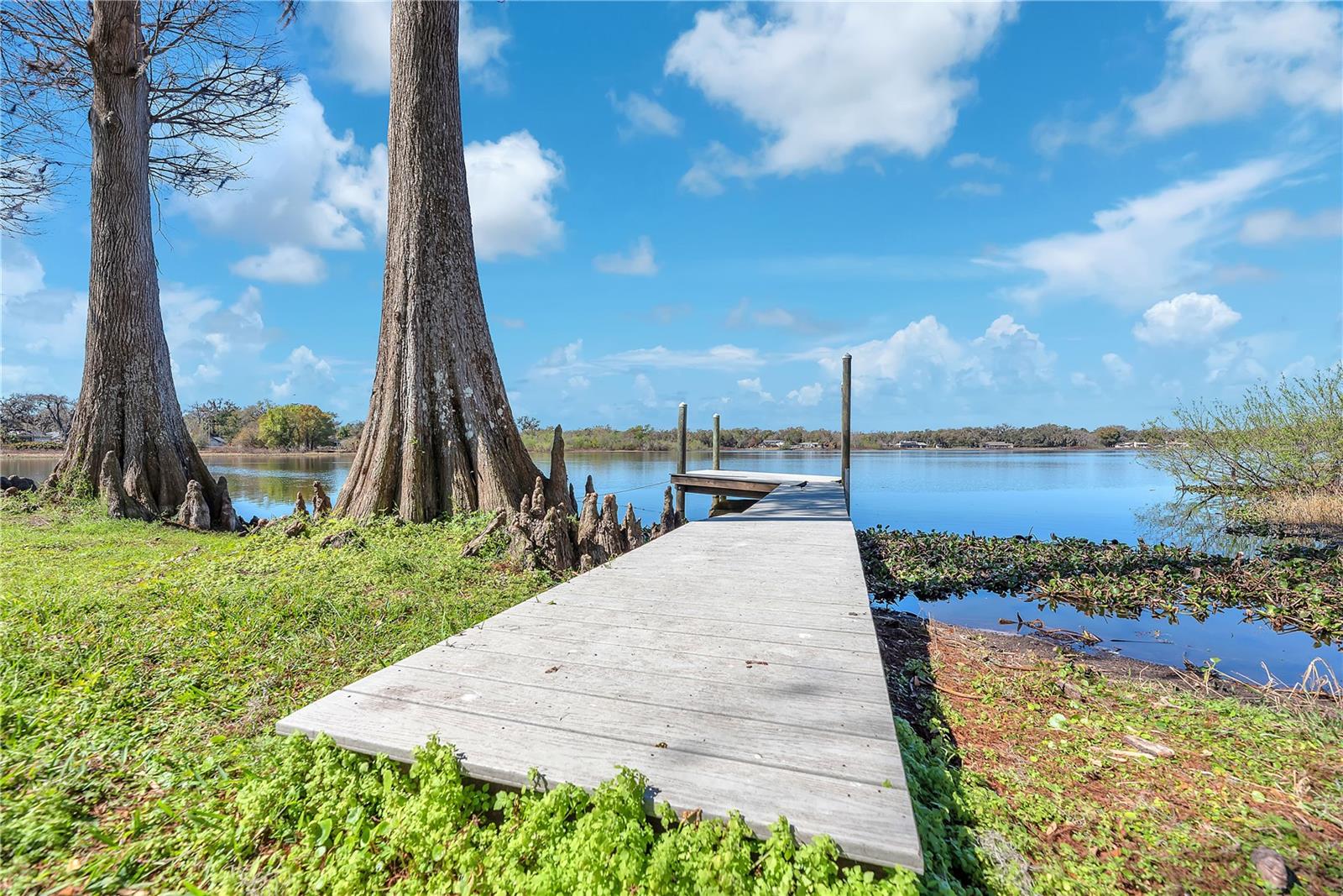 VALRICO LAKE ESTATES - Residential