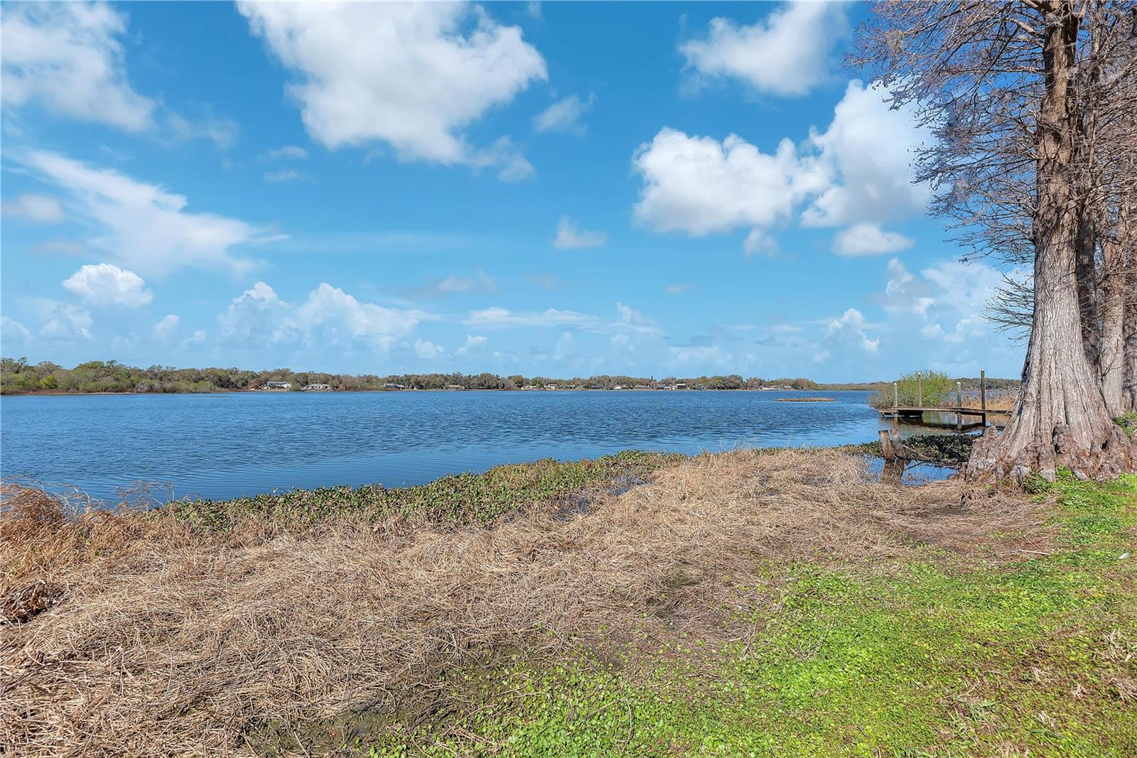 VALRICO LAKE ESTATES - Residential