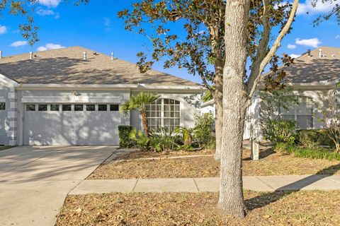 A home in APOLLO BEACH