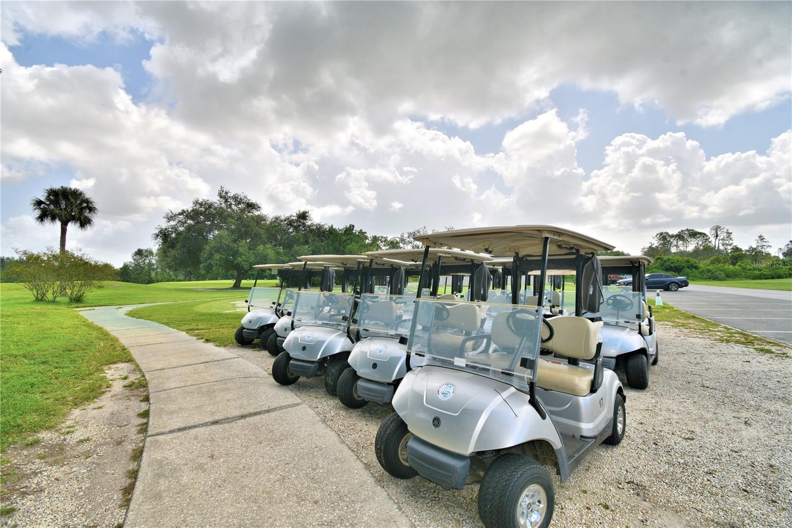 LAKE BESS COUNTRY CLUB - Residential