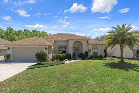 Photo of 374 W Cobblestone Loop, Hernando, FL 34442 (MLS # OM697519)