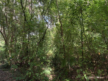 0 SE  118TH PLACE BELLEVIEW FL 34420