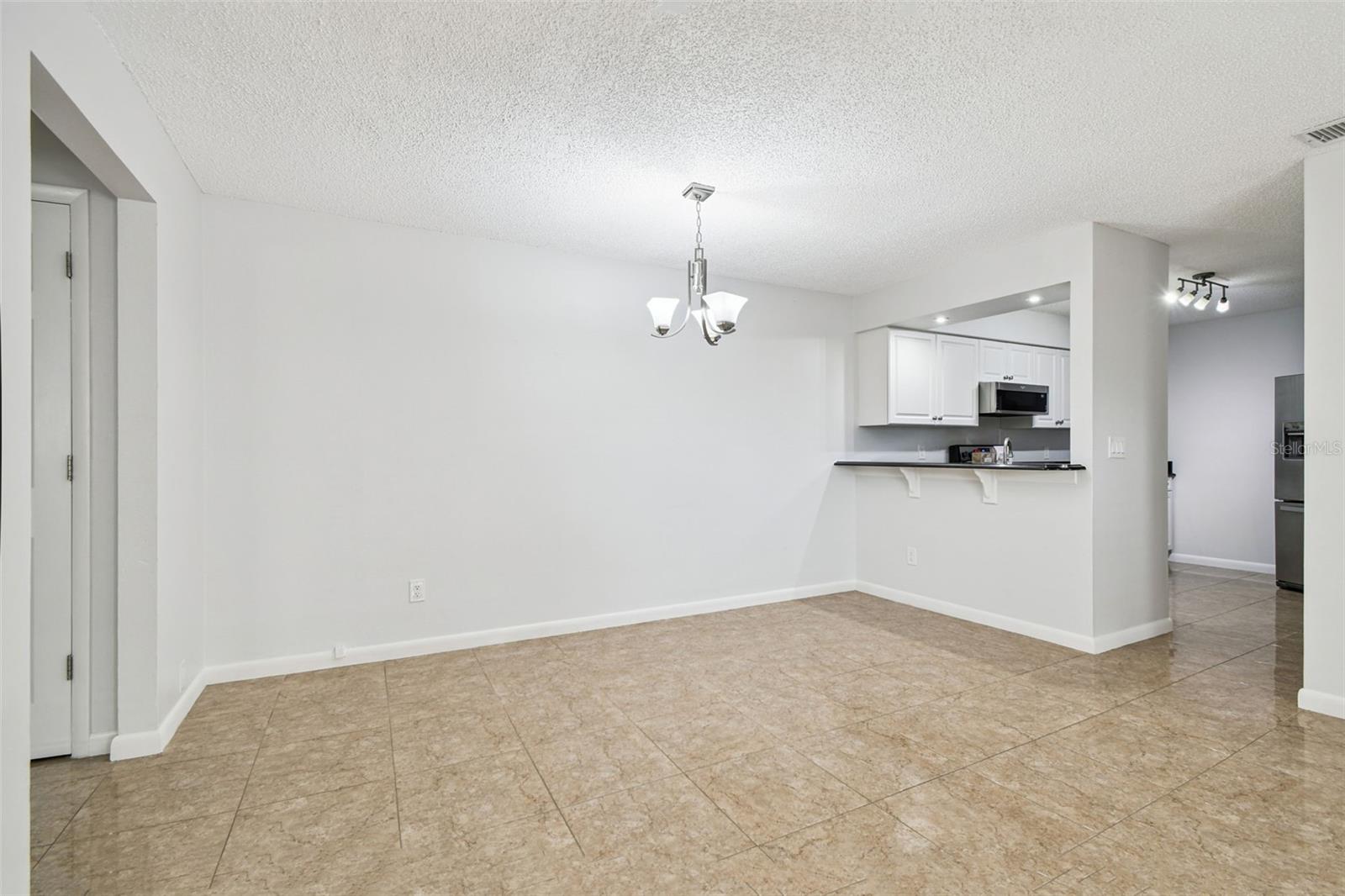 VILLAS OF PINELLAS FARMS CONDO - Residential