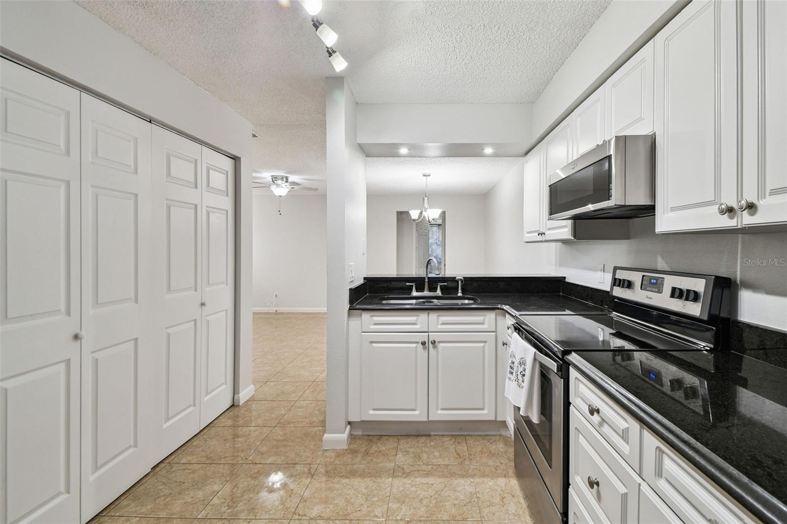 VILLAS OF PINELLAS FARMS CONDO - Residential