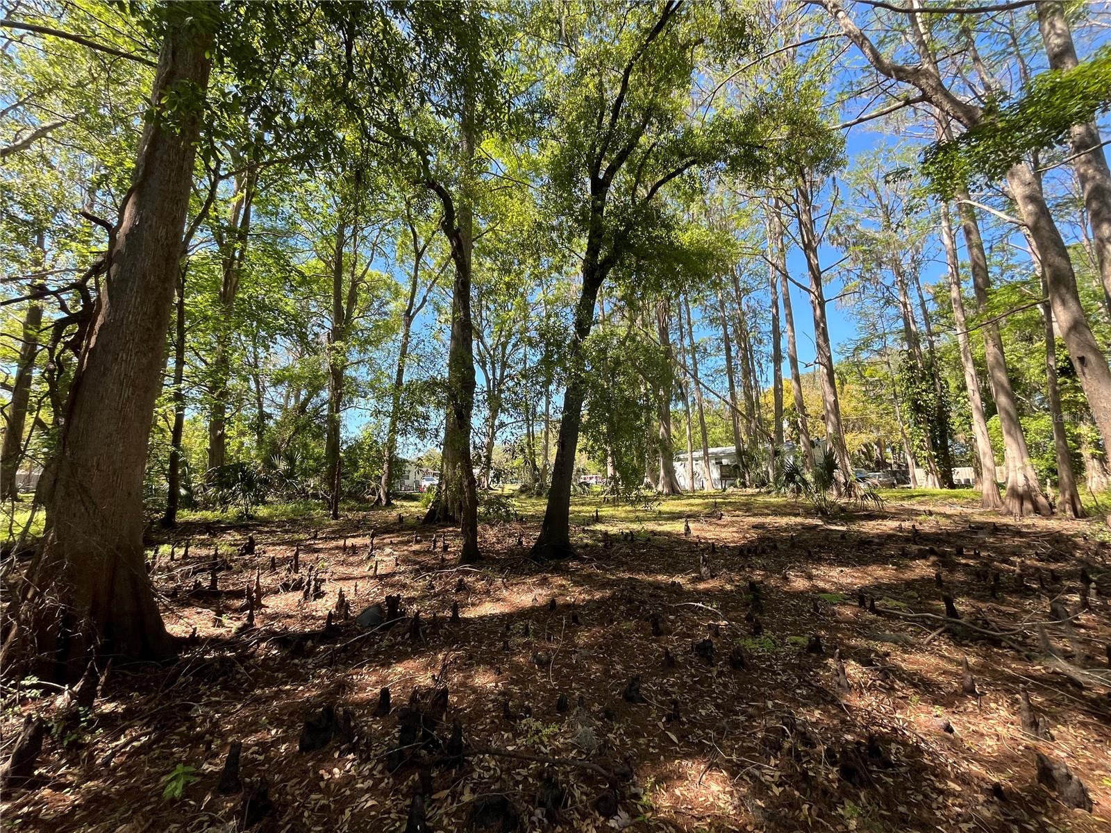 LAKE WORRELL - Residential Lease