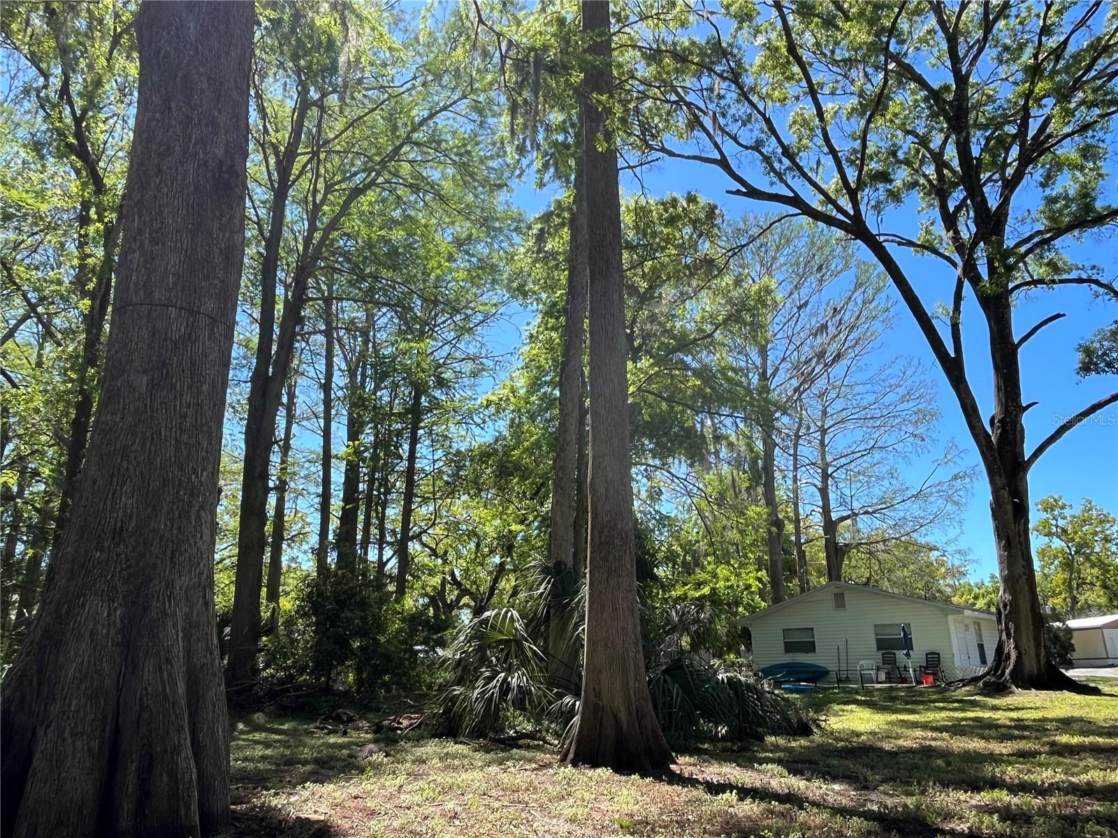 LAKE WORRELL - Residential Lease