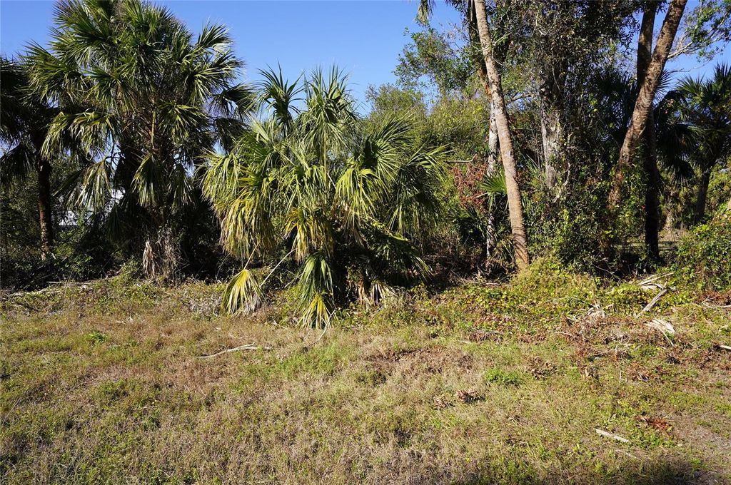 Photo of 16150 Arcaro Avenue, Port Charlotte, FL 33954 (MLS # C7503196)