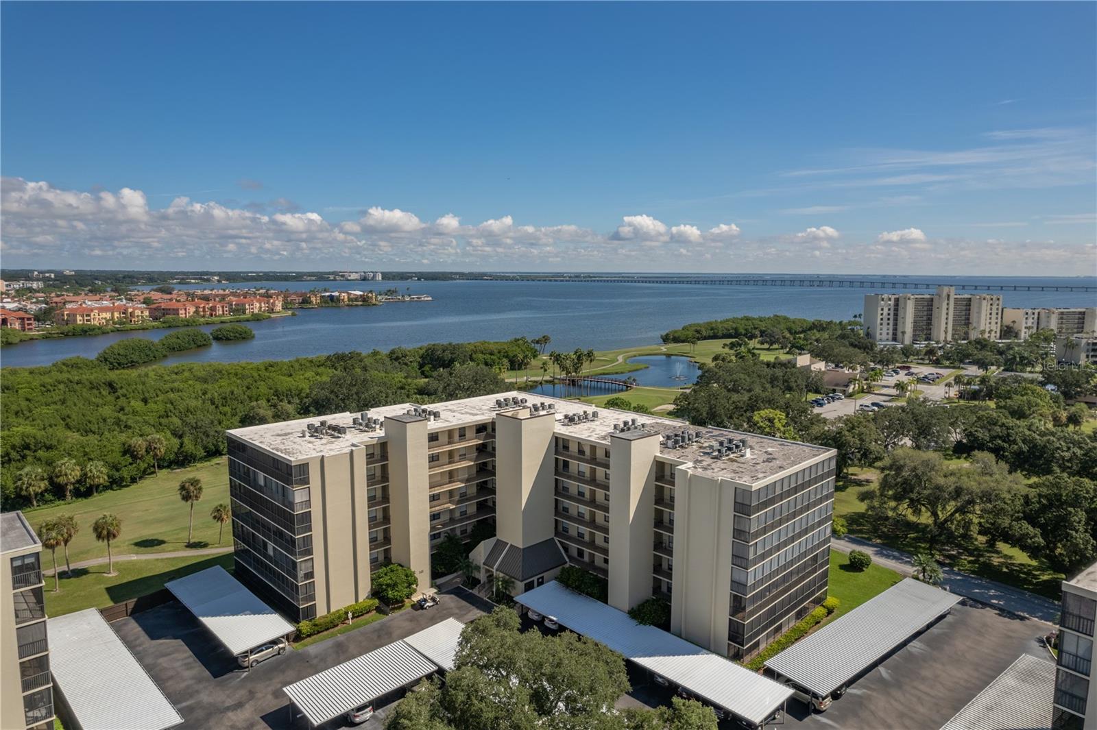 Beautiful top floor condo in the Cove Cay Community of Village IV. Spectacular 2 Bedroom 2 Bath Condo located on the 7th Floor, with views that are breathtaking overlooking the Tampa Bay and the Golf Course. The Community has lush Florida tropical landscaping and is a true private paradise! Updated kitchen with modern floor tile, neutral in color with custom wood cabinetry, granite countertops, closet pantry and appliances included. Kitchen includes option of eat in space. Living and dining areas are open concept which are great for entertaining. Hardwood flooring throughout living, dining, and bedrooms. Lanai offers option with enclosed sliding doors or can be open for screened enclosure to enjoy your outdoor living. Lanai allows for extended living area, with direct access from living area and master bedroom. Lanai is bumped out with L-shape open site view view of Tampa Bay. Private laundry room includes full size washer and dryer. The square footage of 1,080 and unique lanai makes this one of Cove Cay's most popular condos. Great location with easy access to shopping, restaurants, and the beaches. The Cove Cay Golf Course is available for public play and offers membership. Marina with various types of membership. This is a 24/7 security gated community.